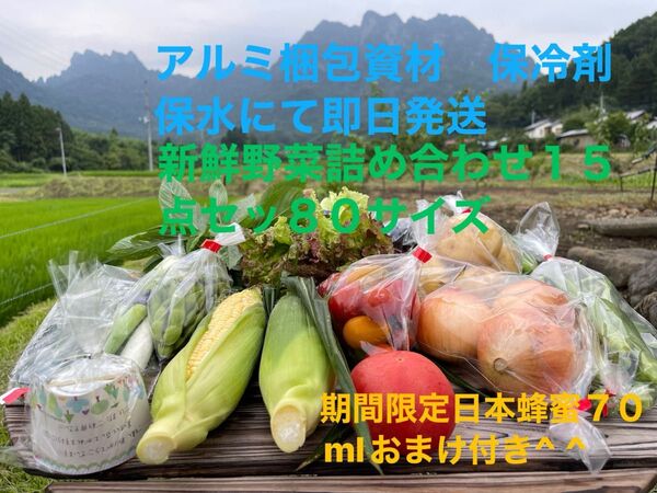 新鮮野菜詰め合わせ15点セット 期間限定日本蜂蜜70mlおまけ付き^ ^ 80サイズ