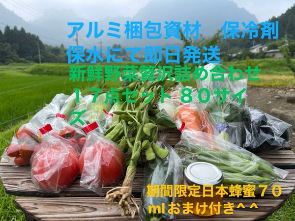 新鮮野菜詰め合わせ17点セット 期間限定日本蜂蜜70mlおまけ付き^ ^80サイズ