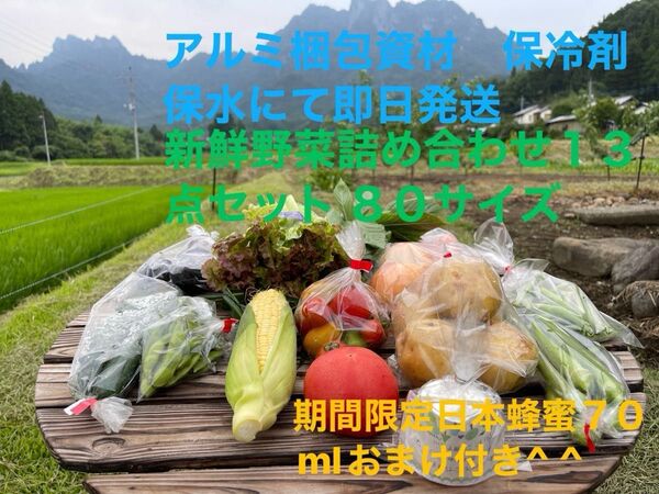 新鮮野菜詰め合わせ13点セット 期間限定日本蜂蜜70mlおまけ付き^ ^ 80サイズ
