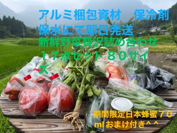 新鮮野菜詰め合わせ17点セット 期間限定日本蜂蜜70mlおまけ付き^ ^ 80サイズ