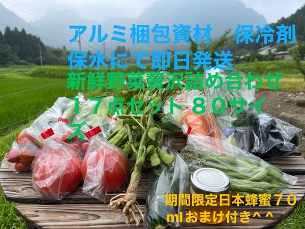 新鮮野菜詰め合わせ17点セット 期間限定日本蜂蜜70mlおまけ付き^ ^ 80サイズ