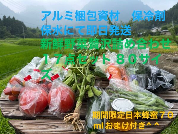 新鮮野菜詰め合わせ17点セット 期間限定日本蜂蜜70mlおまけ付き^ ^80サイズ