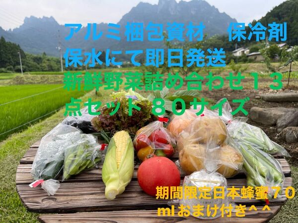 新鮮野菜詰め合わせ13点セット 期間限定日本蜂蜜70mlおまけ付き^ ^ 80サイズ