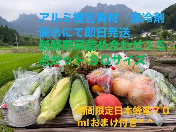 新鮮野菜詰め合わせ15点セット 期間限定日本蜂蜜70mlおまけ付き^ ^ 80サイズ