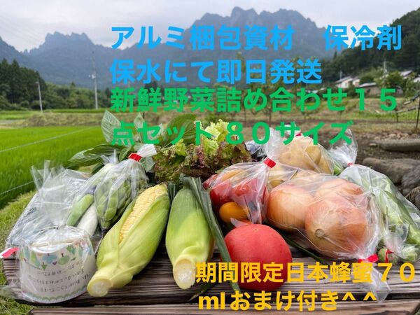 新鮮野菜詰め合わせ15点セット 期間限定日本蜂蜜70mlおまけ付き^ ^ 80サイズ