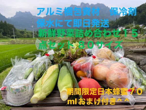新鮮野菜詰め合わせ15点セット 期間限定日本蜂蜜70mlおまけ付き^ ^ 80サイズ