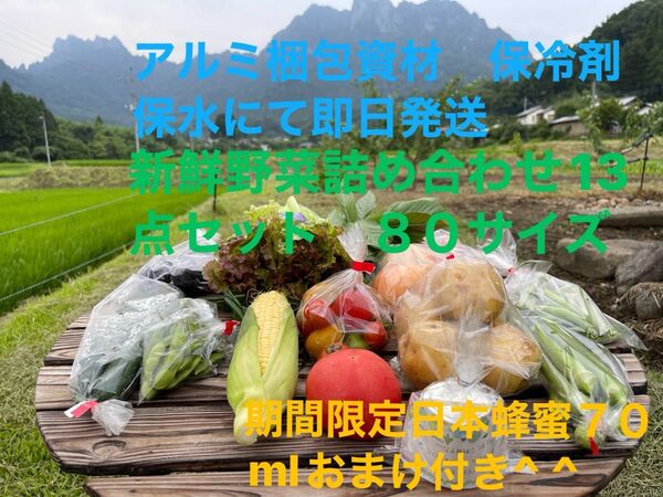 新鮮野菜詰め合わせ13点セット 期間限定日本蜂蜜70mlおまけ付き^ ^ 80サイズ