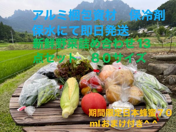 新鮮野菜詰め合わせ13点セット 期間限定日本蜂蜜70mlおまけ付き^ ^ 80サイズ