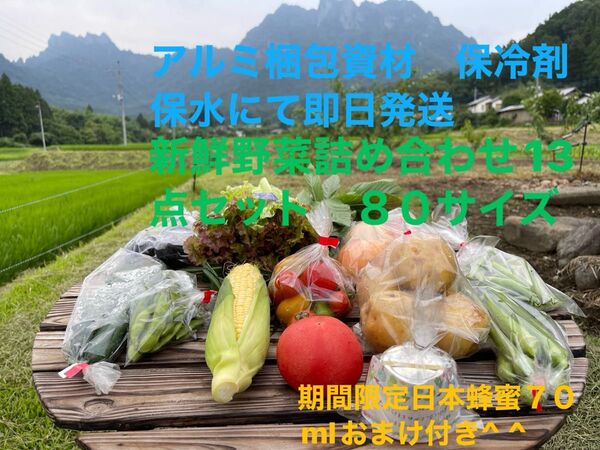 新鮮野菜詰め合わせ13点セット 期間限定日本蜂蜜70mlおまけ付き^ ^ 80サイズ
