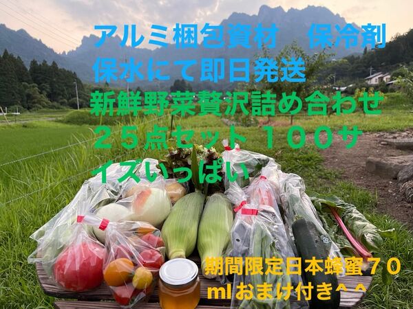新鮮野菜贅沢詰め合わせ25点セット 期間限定日本蜂蜜70mlおまけ付き^ ^ 100サイズいっぱい