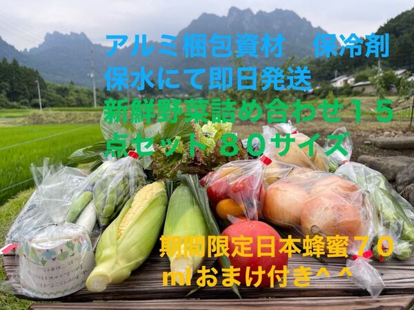 新鮮野菜詰め合わせ15点セット 期間限定日本蜂蜜70mlおまけ付き^ ^80サイズ