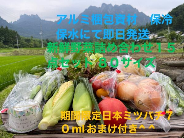 新鮮野菜詰め合わせ15点セット 期間限定日本ミツバチ70mlおまけ付き^ ^