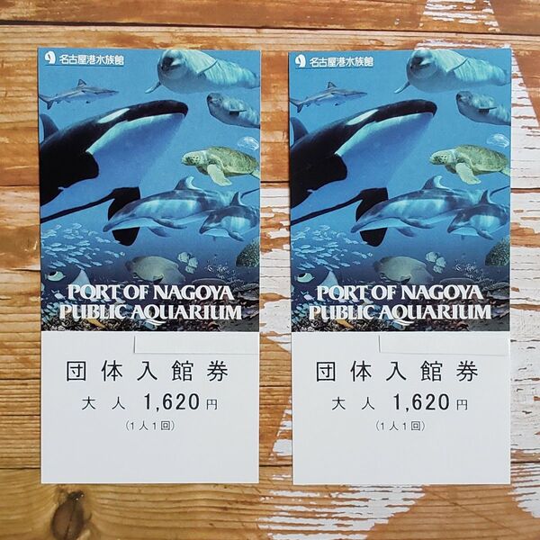 名古屋港水族館 入館チケット 大人2名