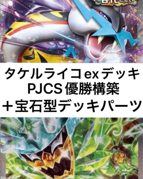 タケルライコexデッキ PJCS優勝構築 宝石型デッキパーツ付き 構築済みデッキ ポケモンカードゲーム