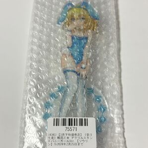 戦国乙女 アクリルスタンド バニー ソウリン