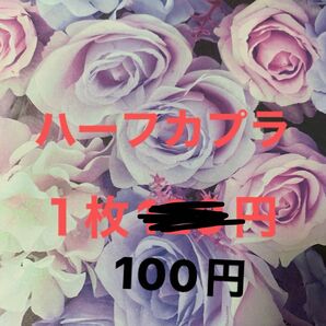 ハーフカプラ