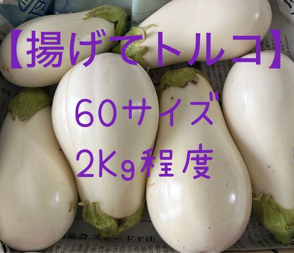 【白なすセット】農薬は栽培期間中不使用・60サイズ・2Kg程度