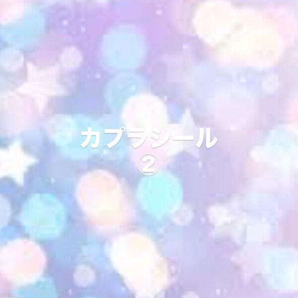 カプラ DIY ②
