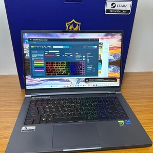 GALLERIA UL7C-R36 i7-11800H Rtx3060 240Hz