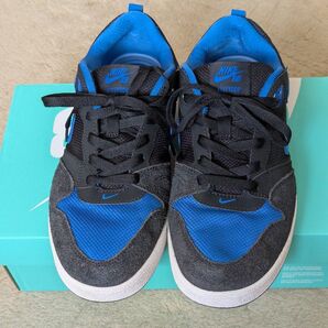 NIKE SB アリウープ