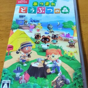 あつまれ どうぶつの森 Nintendo Switch