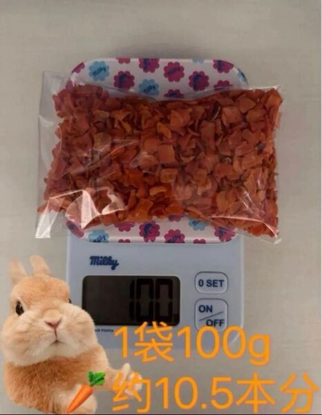 乾燥人参 100gペットのおやつ