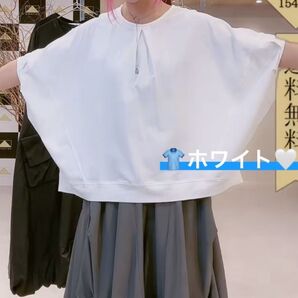 更にお値下!〈気まぐれ値下げ〉フロントタックプルオーバー ホワイト Free 白 フリーサイズ ABITOKYO