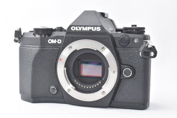 【美品】OLYMPUS OM-D E-M5 Mark II ボディ