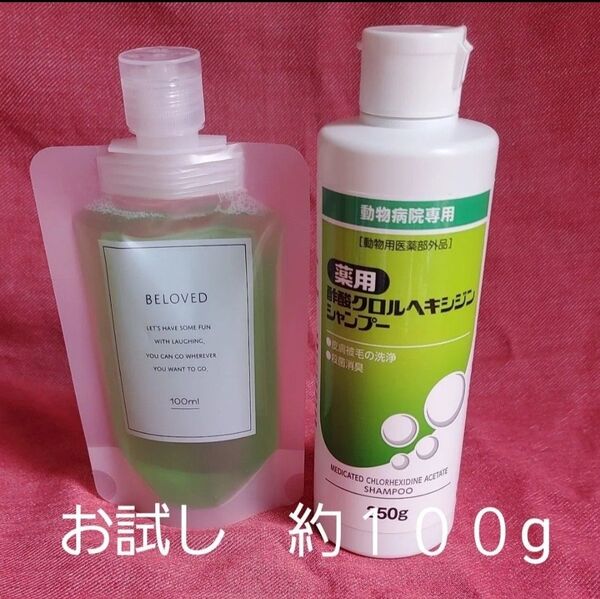 フジタ製薬 薬用酢酸クロルヘキシジンシャンプー 約100g お試し 格安で 犬猫薬用シャンプー 殺菌消臭効果 普段使いにも