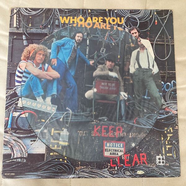 THE WHO WHO ARE YOU レコード LP ピクチャーレコード
