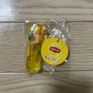 Lipton リプトン ちゅるぷかチャーム2 みかん