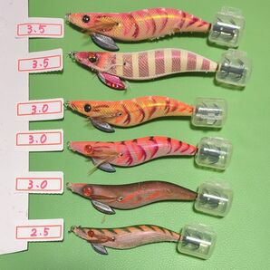9-②SUMIZOKU スミゾク エギ6個セット 中古品