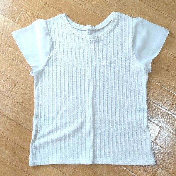 シアー袖 半袖 カットソー 白Tシャツ シアーシャツ シアーブラウス オフィスカジュアル 仕事 通勤 m mサイズ 綺麗 大人
