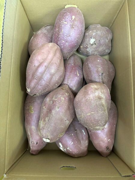 熟成品はラスト 農薬不使用 3Lから4L前後サイズ 紅はるか約10.5キロ