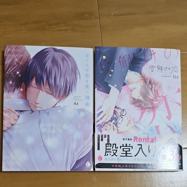 雪解けの恋/ぼくらが恋を失う理由 2冊セット