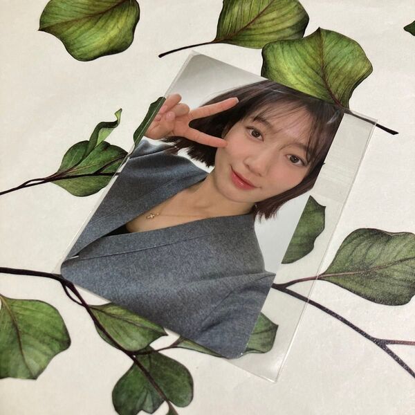 パクシネ 2025 ParkShinHye ファンミ トレカ 入場特典