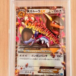 psa10 mガルーラex rr 1st