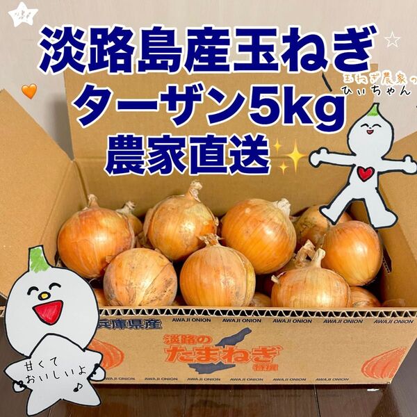 (秀品)淡路島産完熟玉ねぎ中生ターザン5kg 農家直送