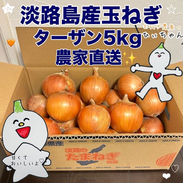 (秀品)淡路島産完熟玉ねぎ中生ターザン5kg 農家直送