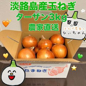 (秀品)淡路島産完熟玉ねぎ中生ターザン3kg 農家直送