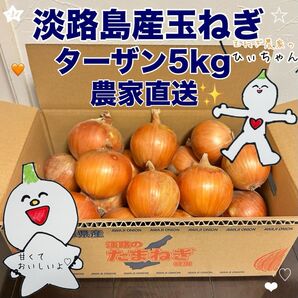(秀品)淡路島産完熟玉ねぎ中生ターザン5kg 農家直送