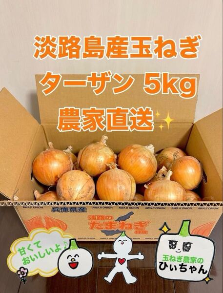 淡路島産完熟玉ねぎ中生ターザン5kg 農家直送