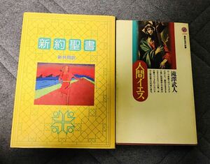 【２冊セット】『新約聖書』（新共同訳）＆『人間イエス』滝澤武人 1997 講談社 初版 キリスト教