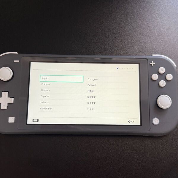 中古品 Nintendo Switch Lite グレー
