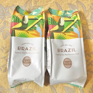 タリーズコーヒー コーヒー粉 2点SET ブラジル タリーズ コーヒー豆 粉 カルディ スタバ TULLY''S