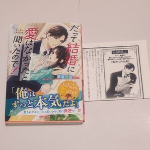だって結婚に愛はなかったと聞いたので! 離婚宣言したら旦那様の溺愛が炸裂して!? (ベリーズ文庫 や2-4) Yabe/著