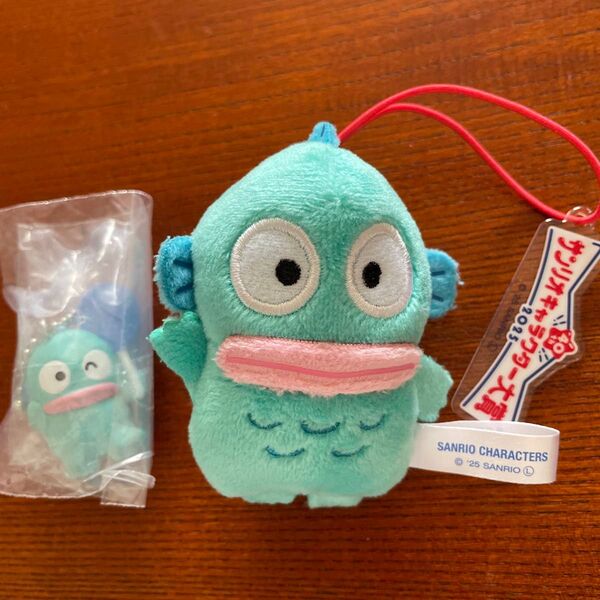 サンリオキャラクターズ大賞2025ぬいぐるみとサンリオ カラコレクション - Blueハンギョドン