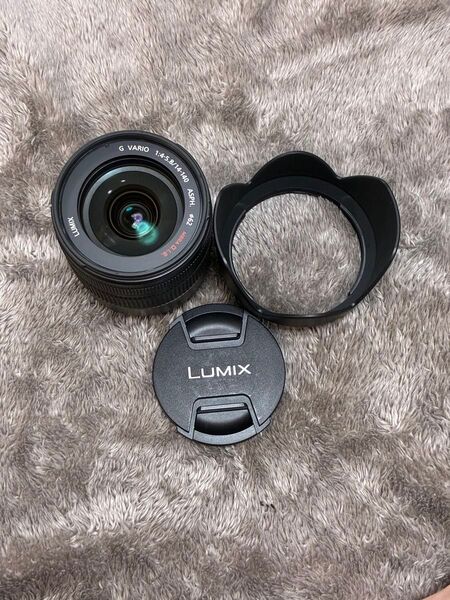 LUMIX G VARIO 14-140mm