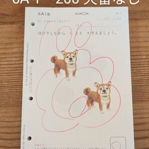 公文式 算数 6A 欠番なし 書き込みあり 合計200枚