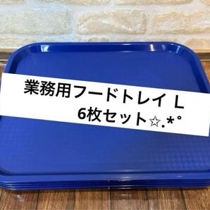 SUNNEX ファーストフードトレーL 6枚セット.* ブルー プレート